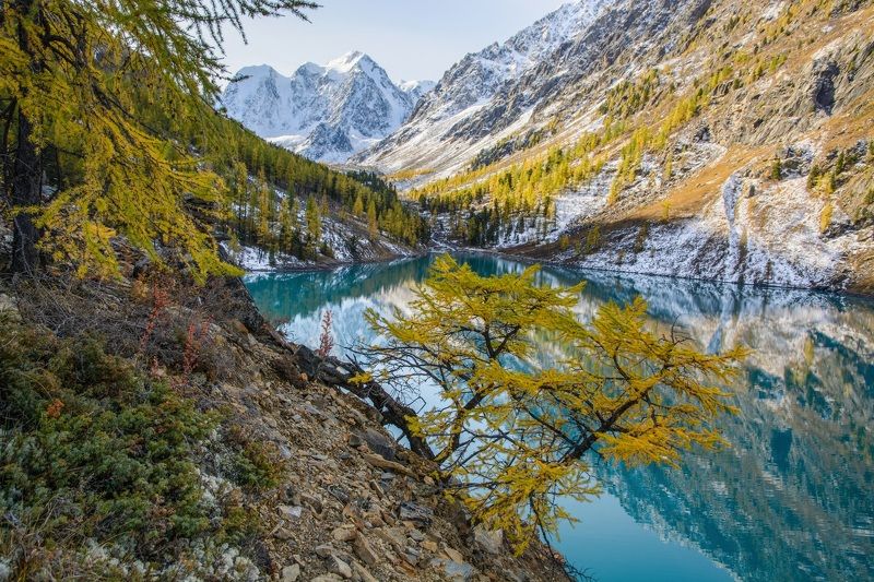 узоры осени фото превью