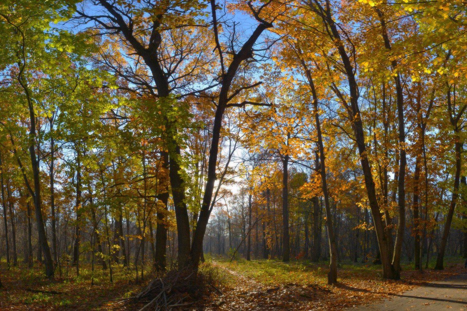 , Сергей Седов