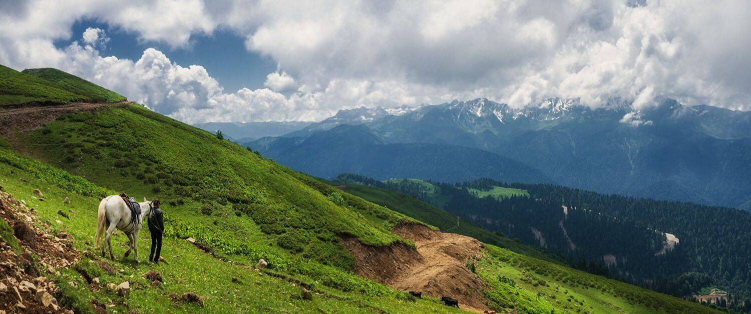 , Игорь Мелекесцев