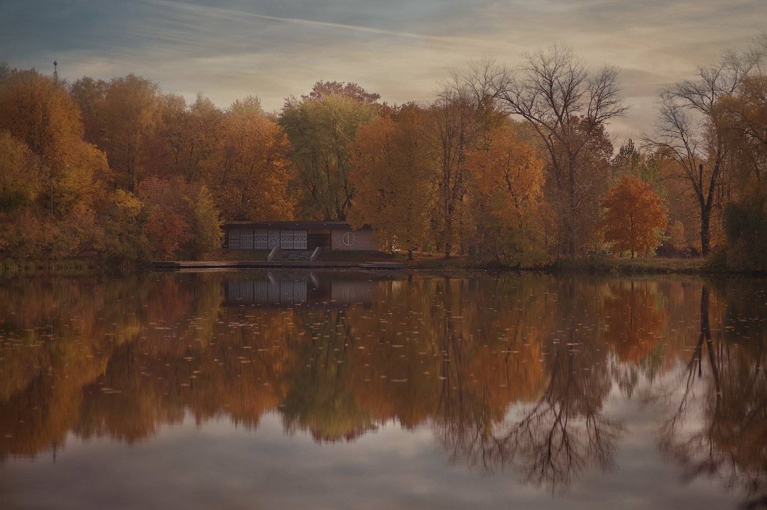 , Надежда Власова