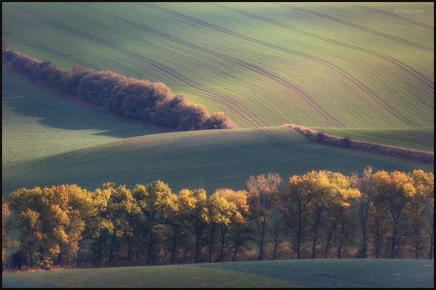 южная моравия,пейзаж,hils.линии,south moravian, ,lines,свет,czech,осень,чехия,landscapes., Василий Гори