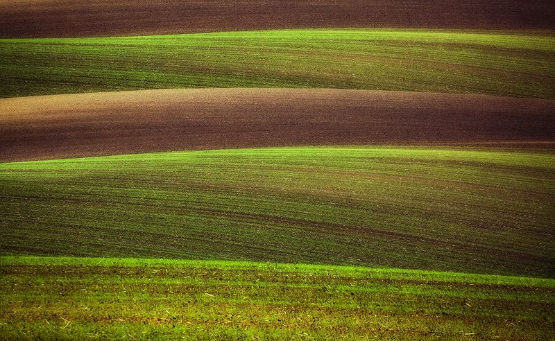 Moravia фото превью