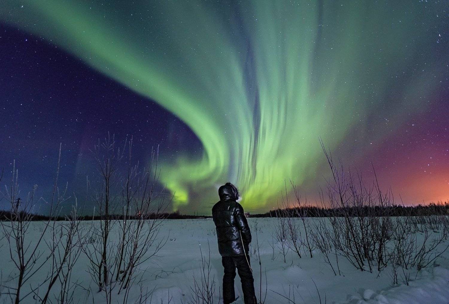 северное сияние,полярное сияние,сс,коми,природа,север,northern lights, polar lights, ss, komi, nature, north, Игорь Триер