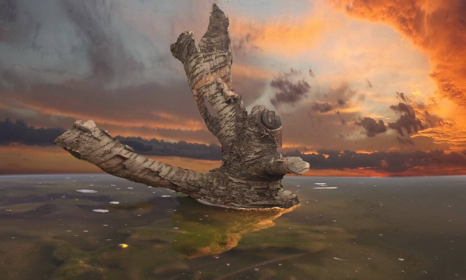 одесса, Сергей Кошелев