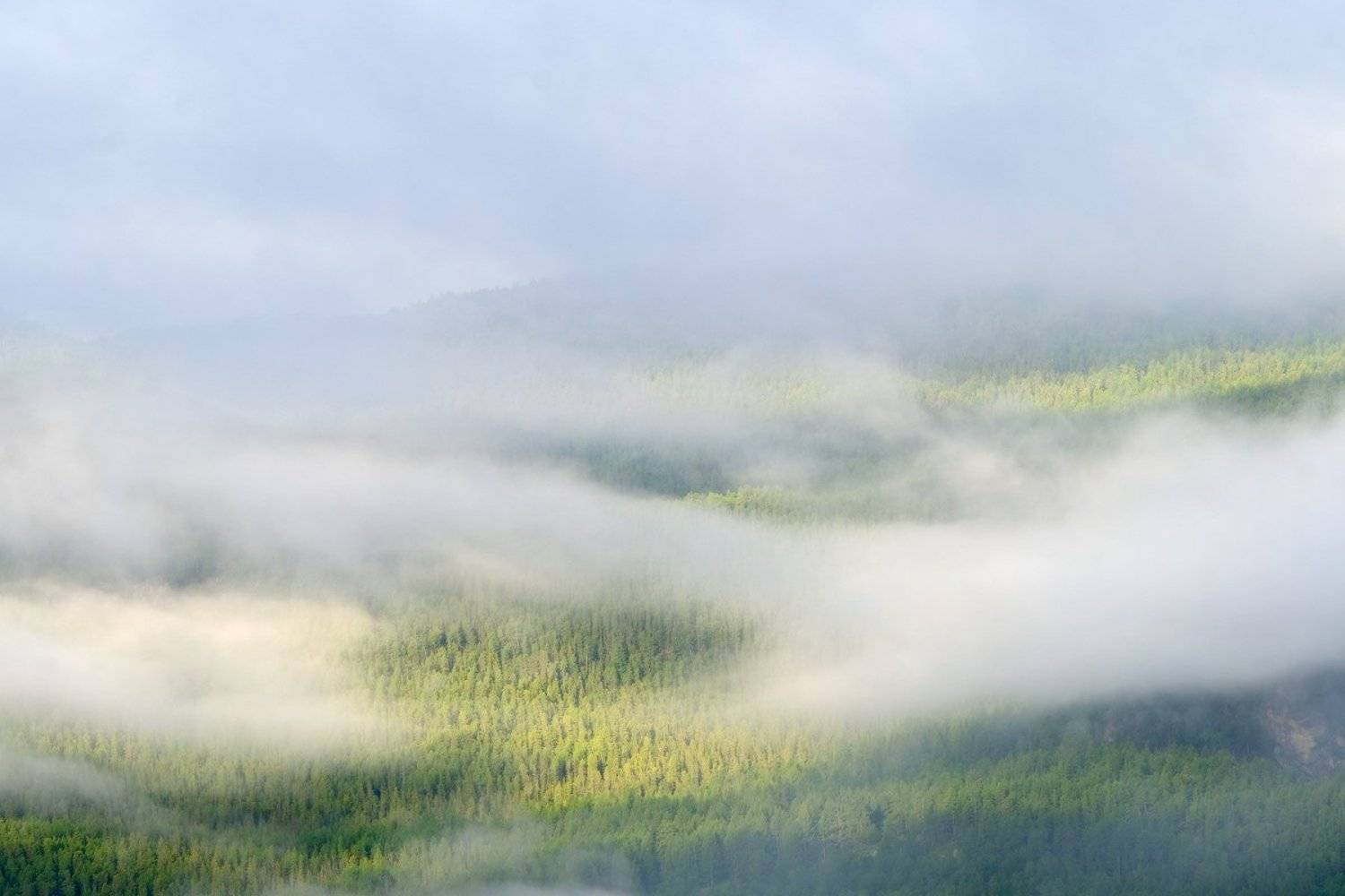 , Ольга Челдыкова