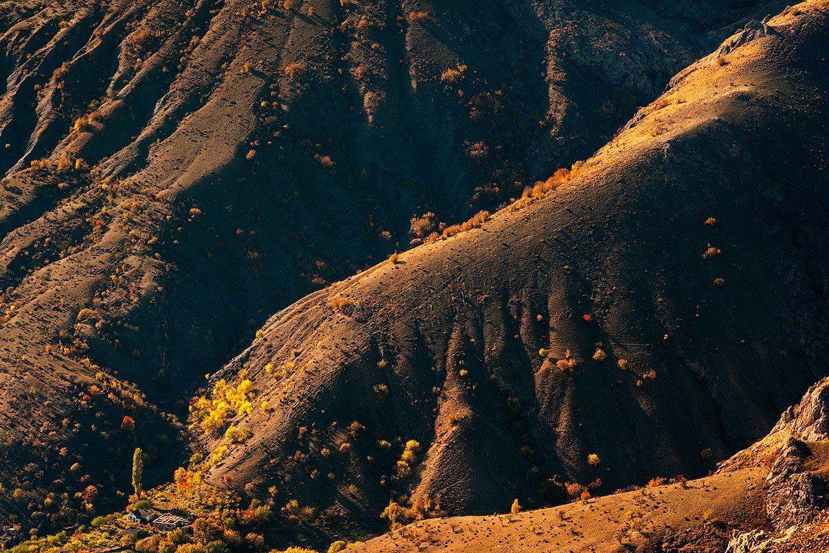 , Олег Логунов