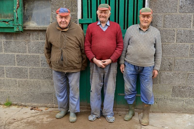 The 3 brothers. фото превью