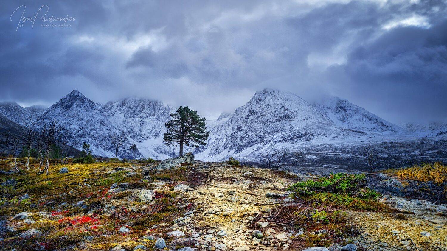 , Игорь Приданников