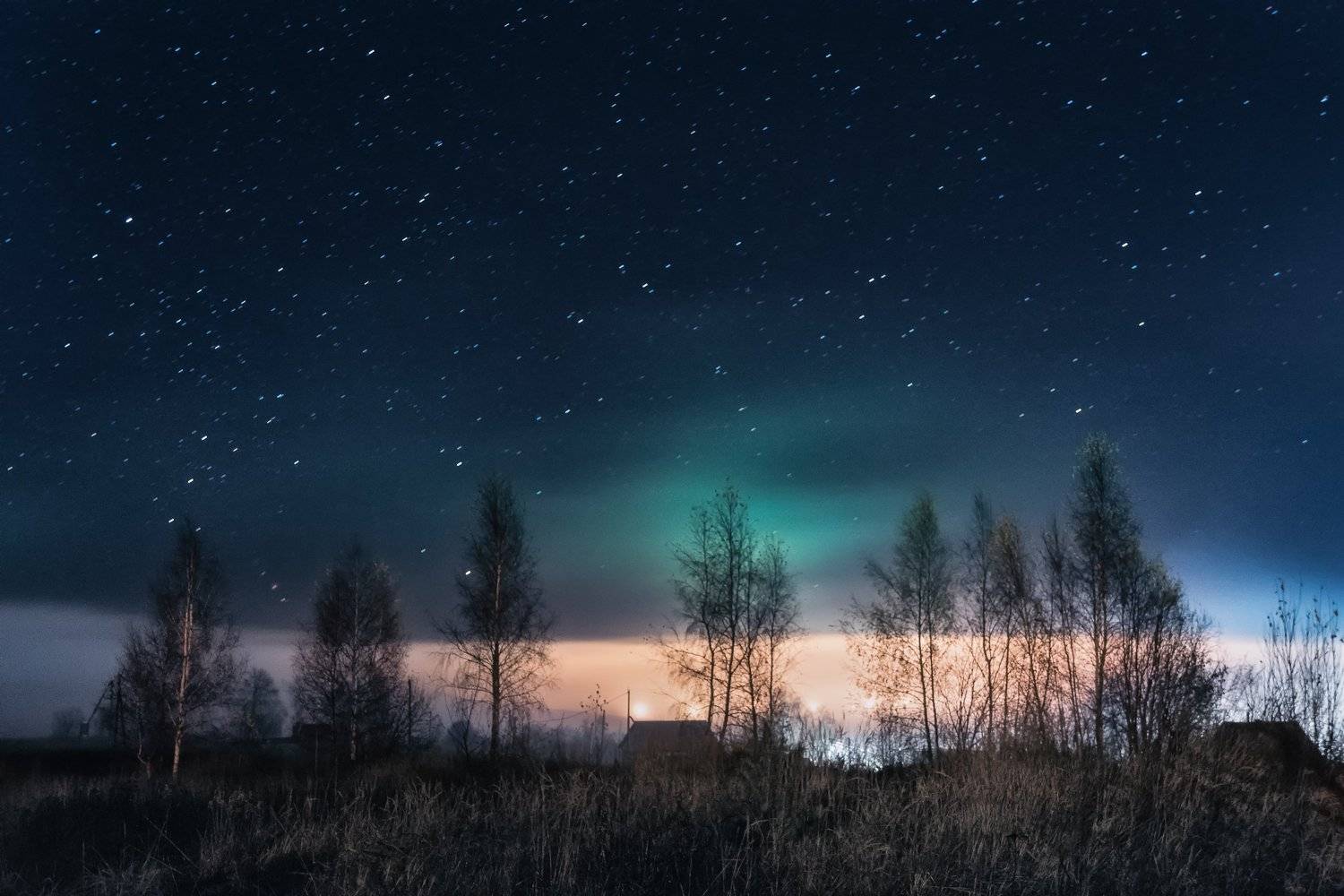 природа, пейзаж, ночь, звёзды, небо, ноябрь, nature, landscape, night, stars, sky, november, Алексей Сергованцев