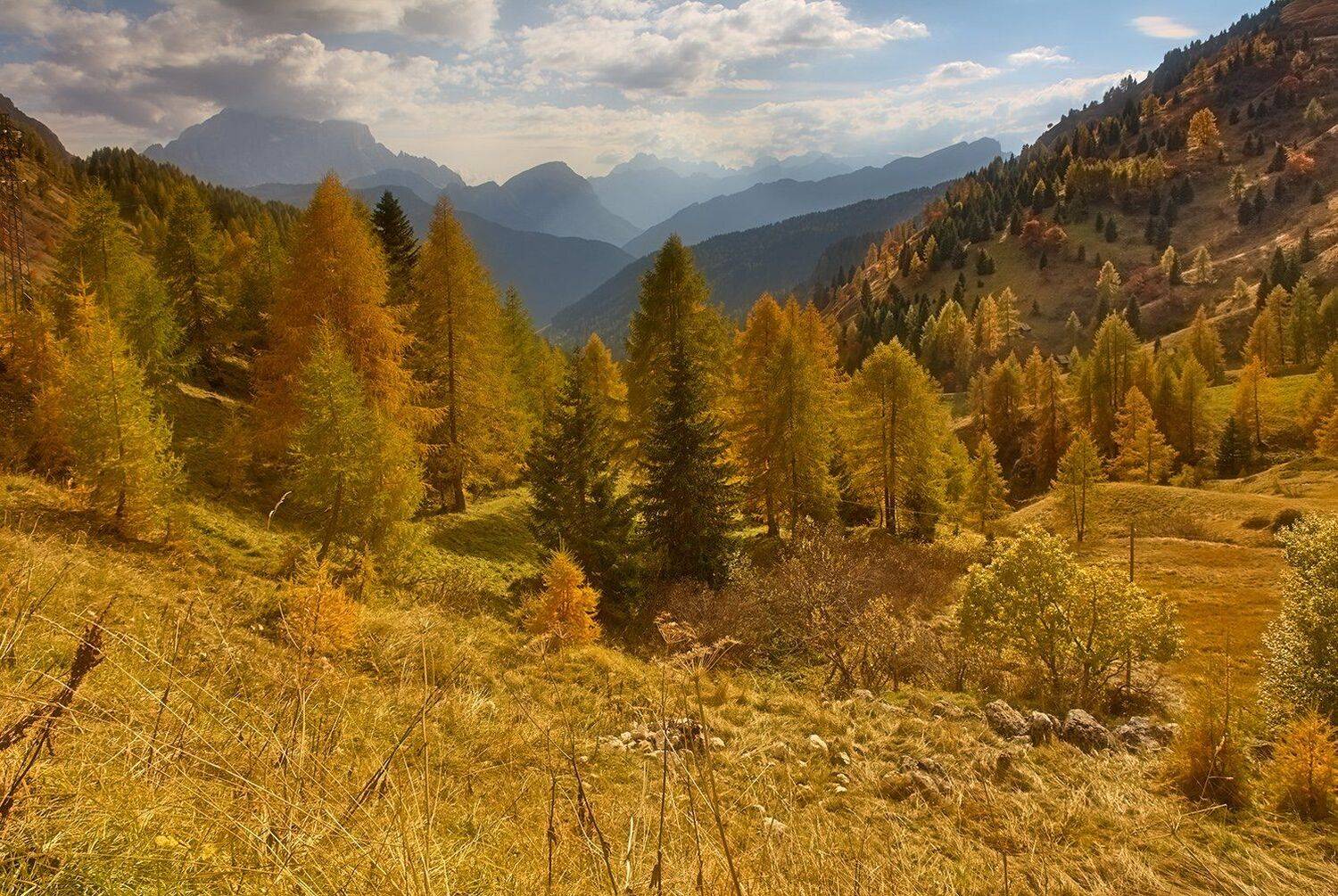 , Игорь Дубровский