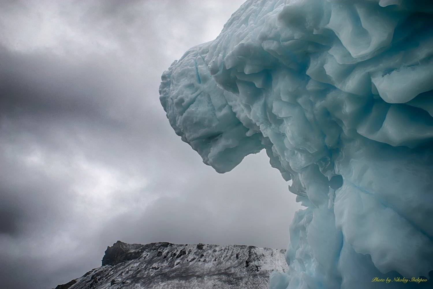 , Николай Шелепов