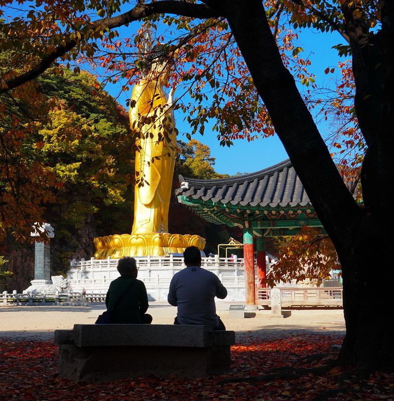 Autumn Korea фото превью