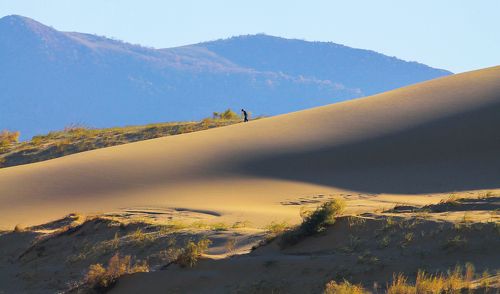 Сары кум.. Жёлтые пески..