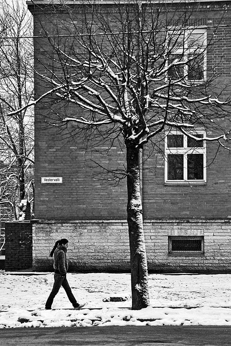 девушка, снег, чб, апатиты, нарва, Николай Смоляк