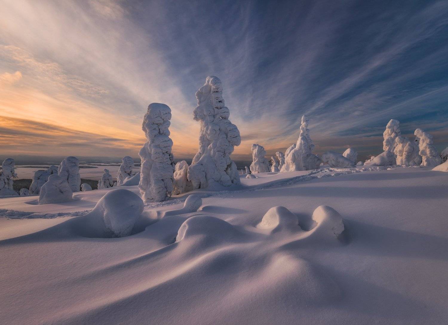 кольский, волосяная, Андрей Грачев