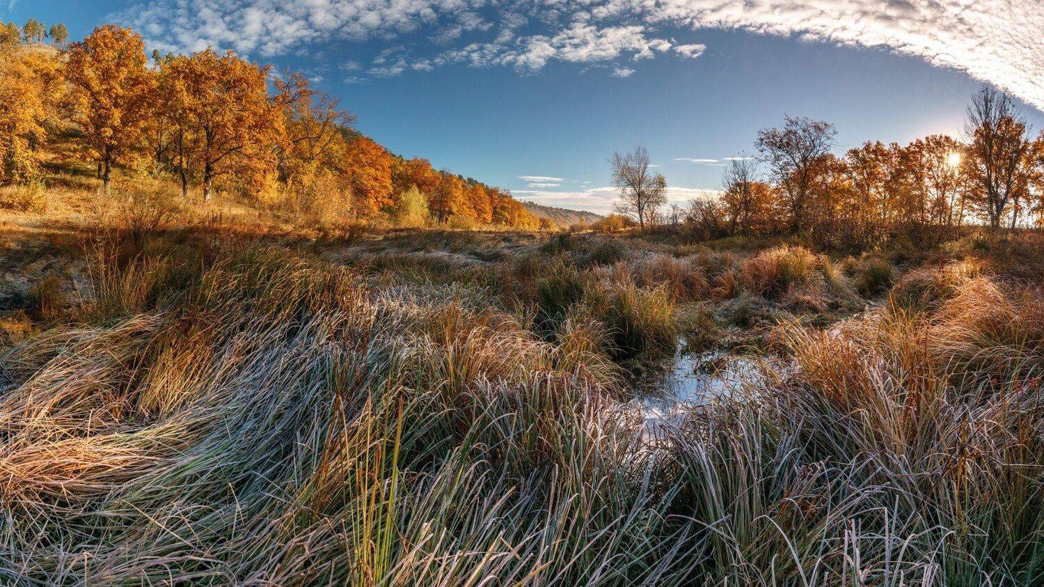 , Мерсон Евгений