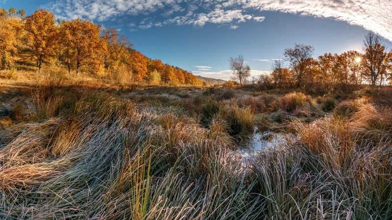 Пестрая осень фото превью