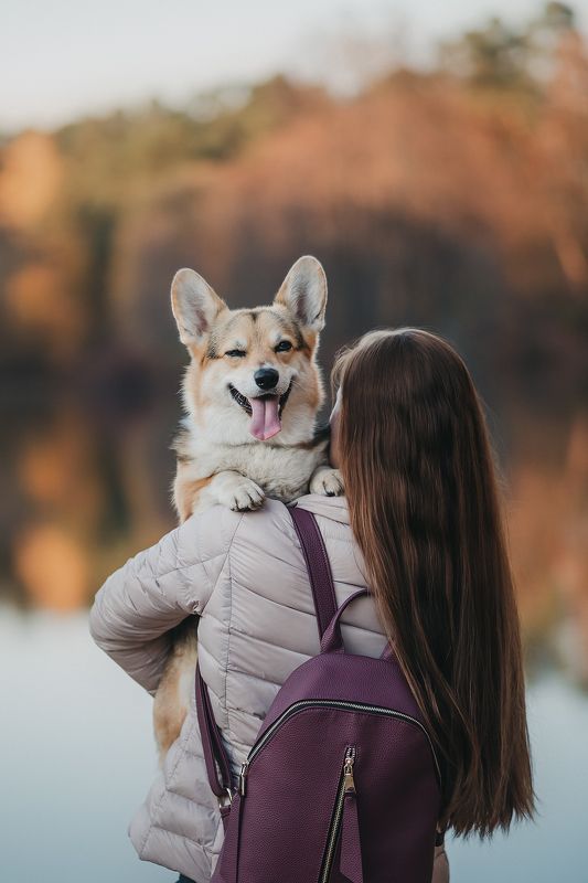 Добрая история про коржика Локи и его прекрасную хозяйку) фото превью