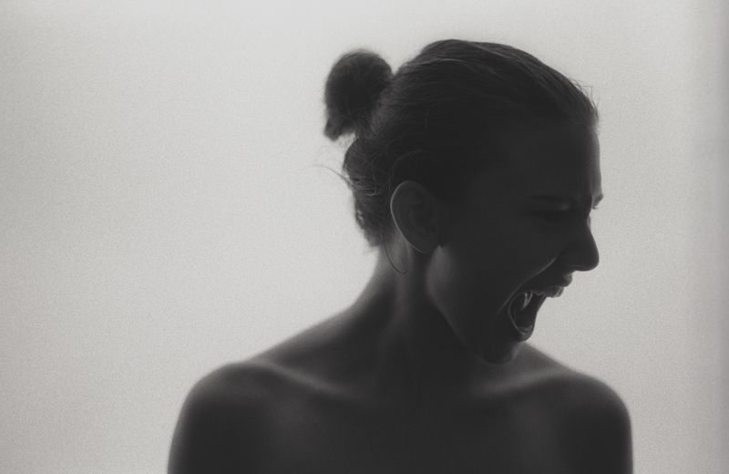 The snake фото превью