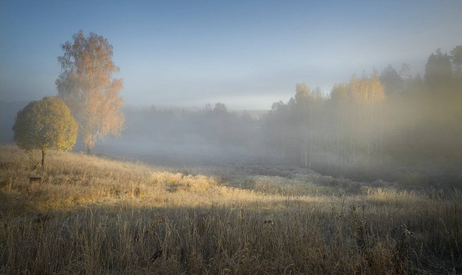 , Анатолий Зверев