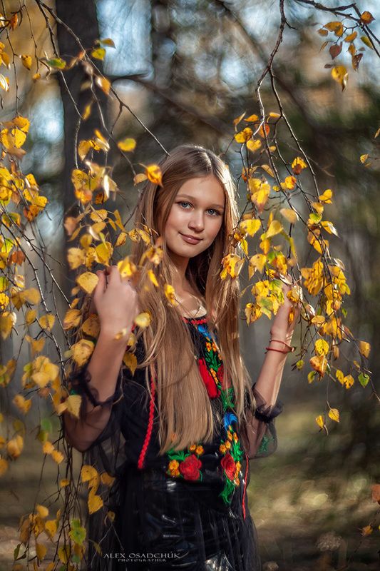 золотая осень фото превью