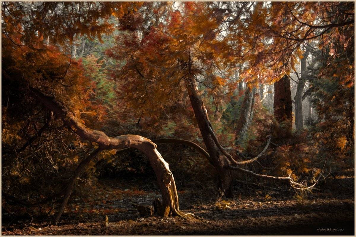 , Валерий Субачев