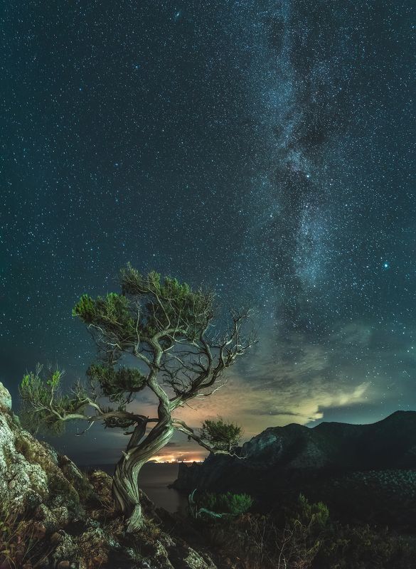 крым, новый свет, ночное фото, ночь, море, черное море, астрофотография, crimea, novyi svit, night photo, night, sea, black sea, astrophotography на краю в бесконечность фото превью