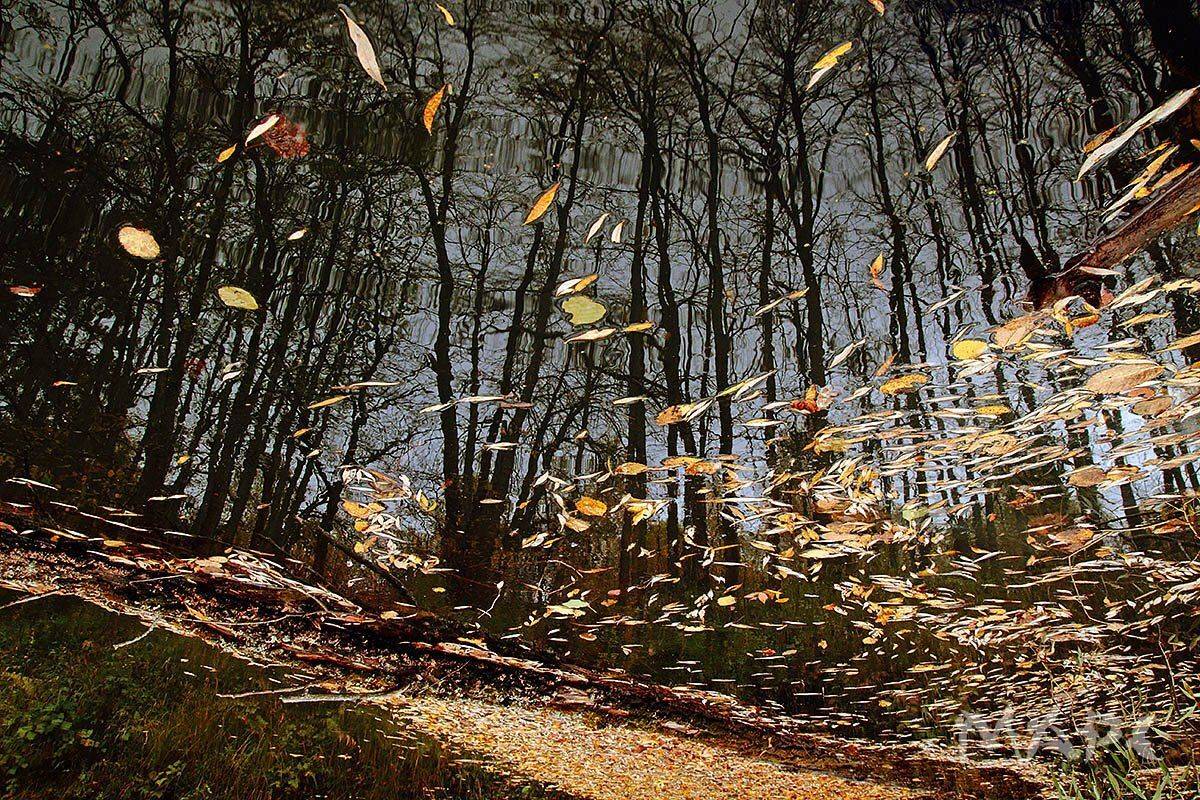 пейзаж  река листья осень октябрь, Шангареев Марс