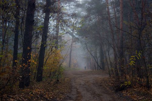 Мнится, мерещится в мареве том: тётка с ведром и гриб под кустом