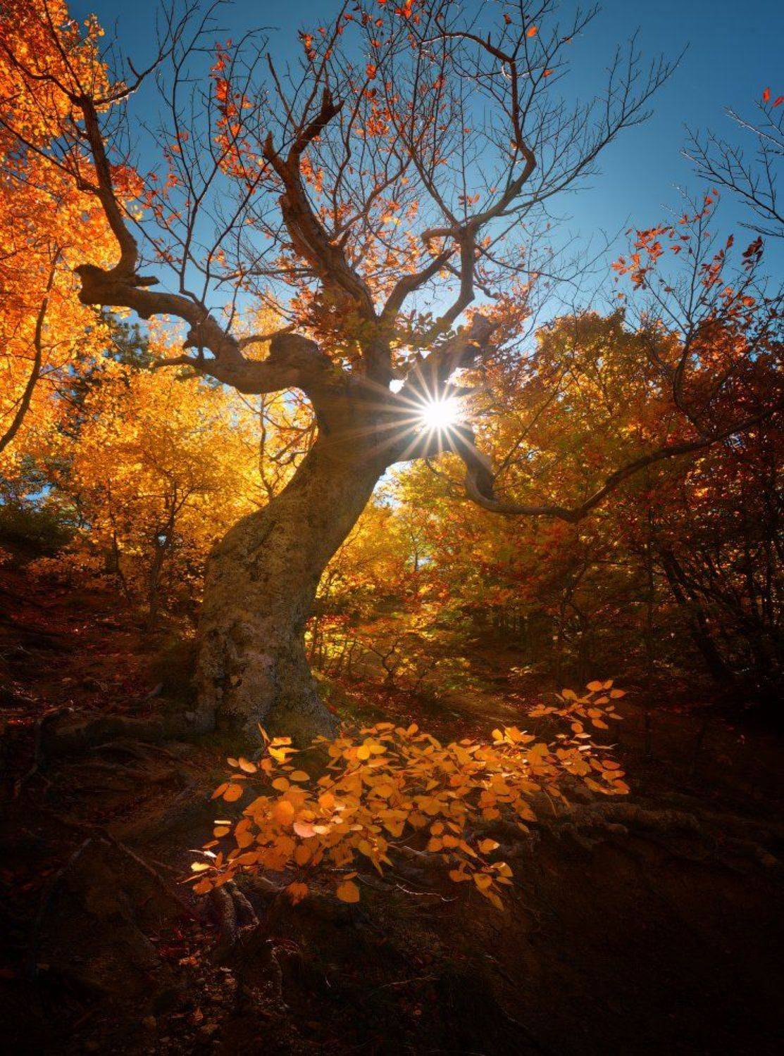 , Анатолий Гордиенко