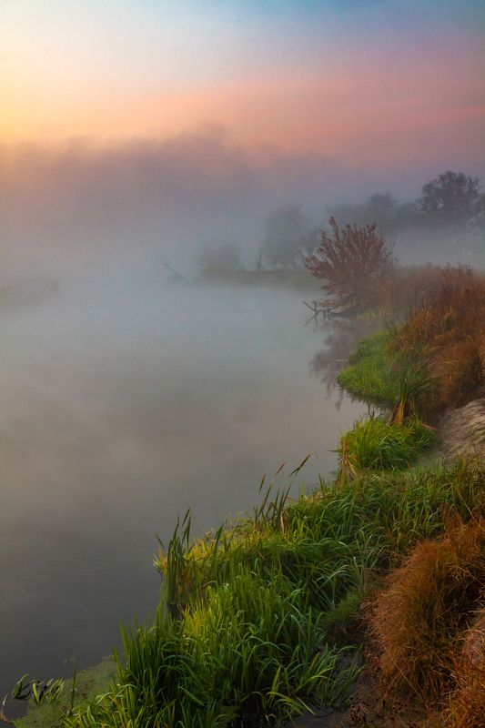 Туманное утро фото превью