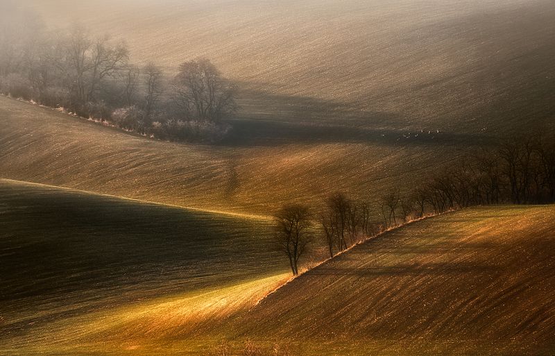 On the Hills of Fields фото превью
