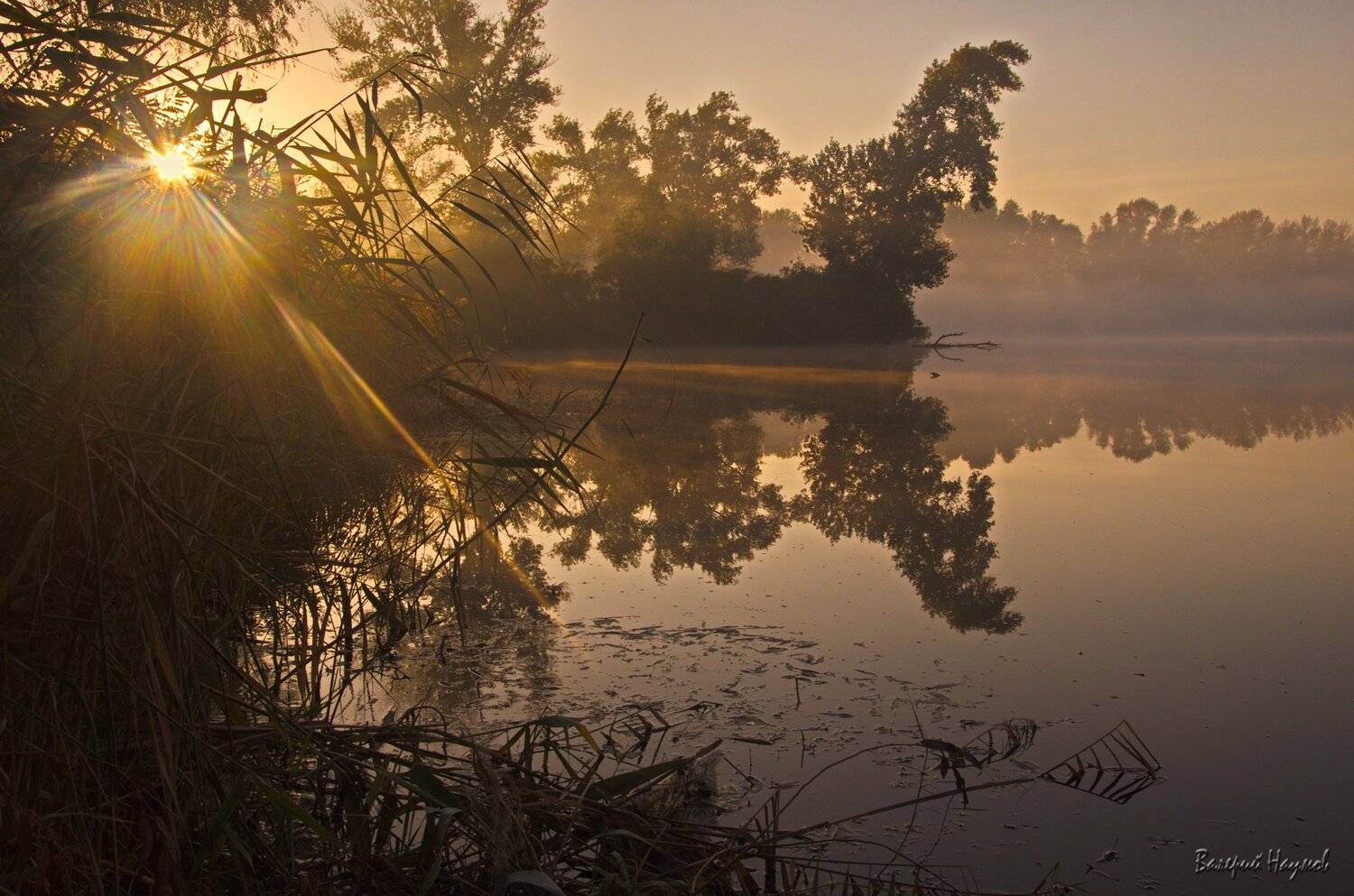 осень, октябрь, утро, туман, лучи, Валерий Наумов