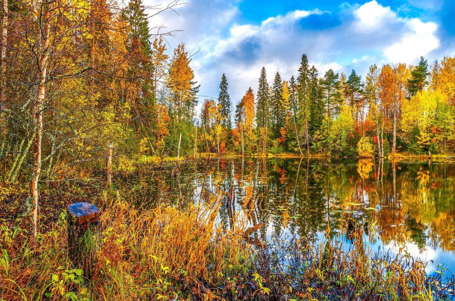 , Олег Авдеев