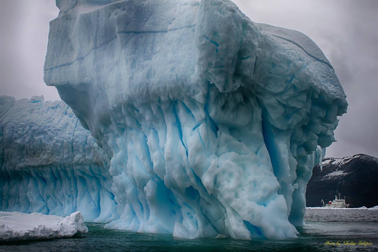, Николай Шелепов