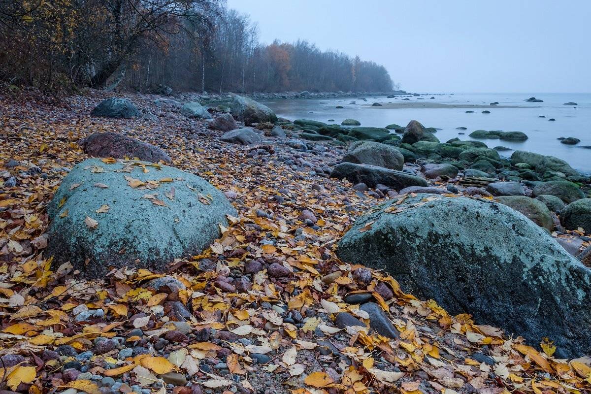 , Александр Абросимов