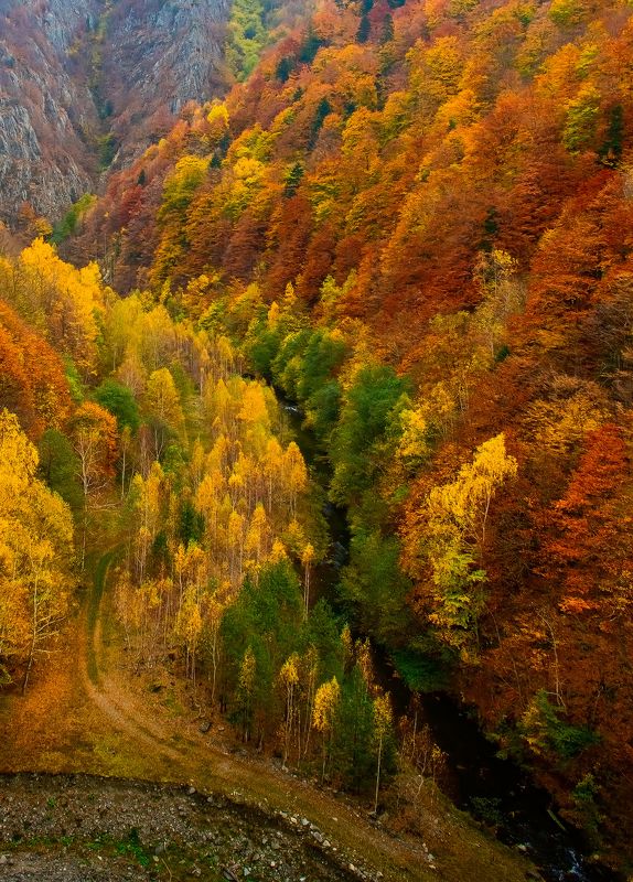 Autumn фото превью