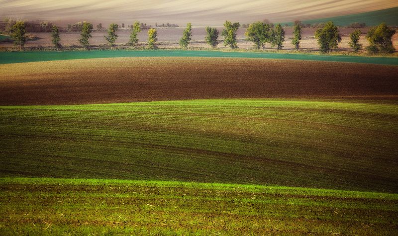 Moravia фото превью