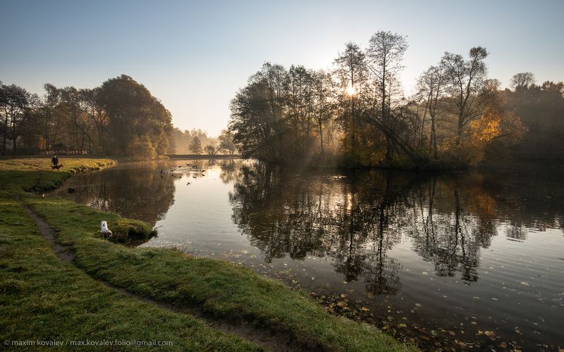 kuzminki, animal, autumn, dog, gauze, haze, island, morning, nature, panorama, park, plant, pond, sunrise, tree, water, берта, кузьминки, вода, восход, дерево, дымка, животное, осень, остров, панорама, парк, природа, пруд, пёс, собака, спаниель, туман, ут Кузьминки утром октября фото превью