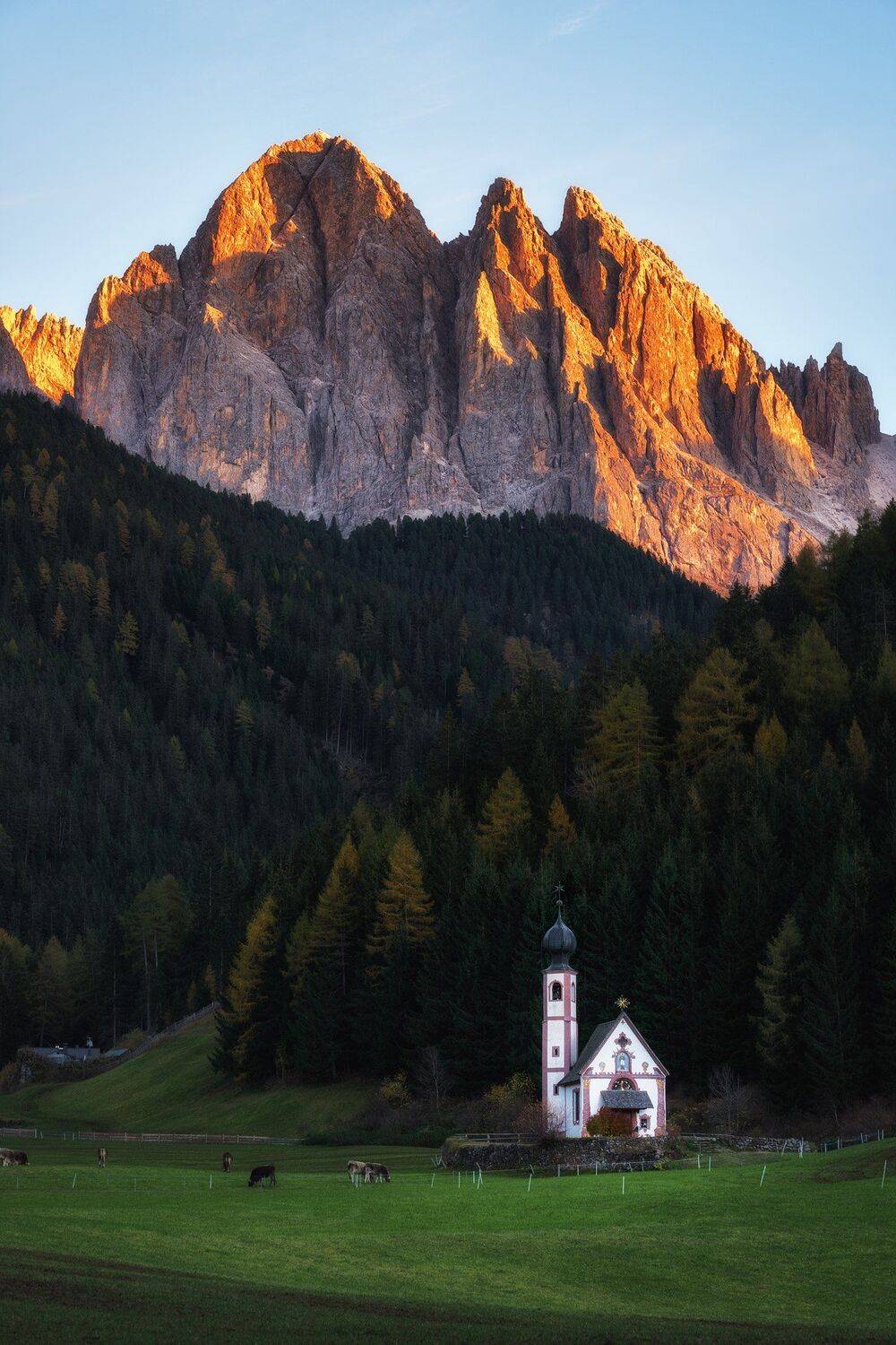 , Михаил Туркеев