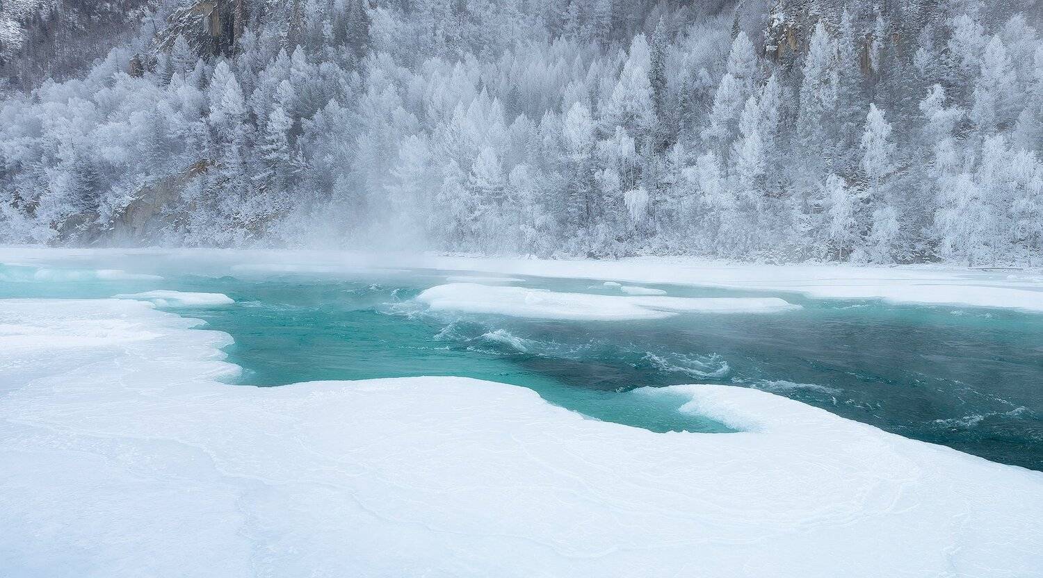 , Лещёнок Александр