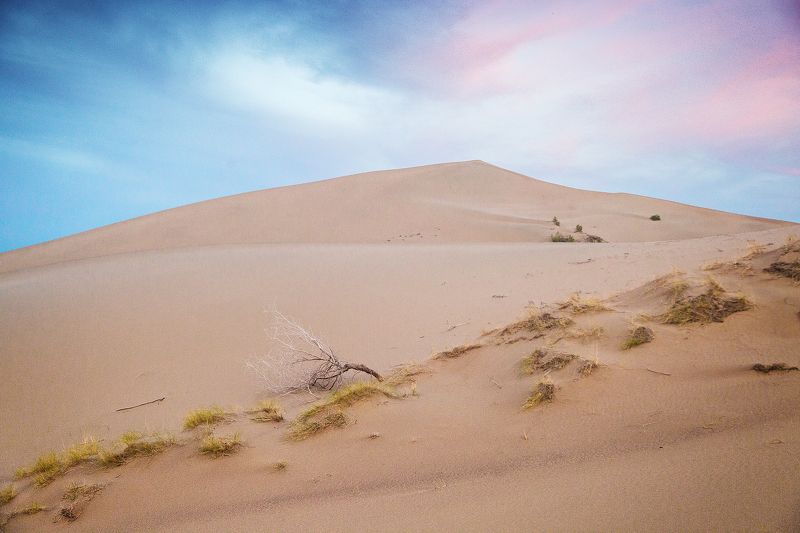 Canon Закатный бархан фото превью
