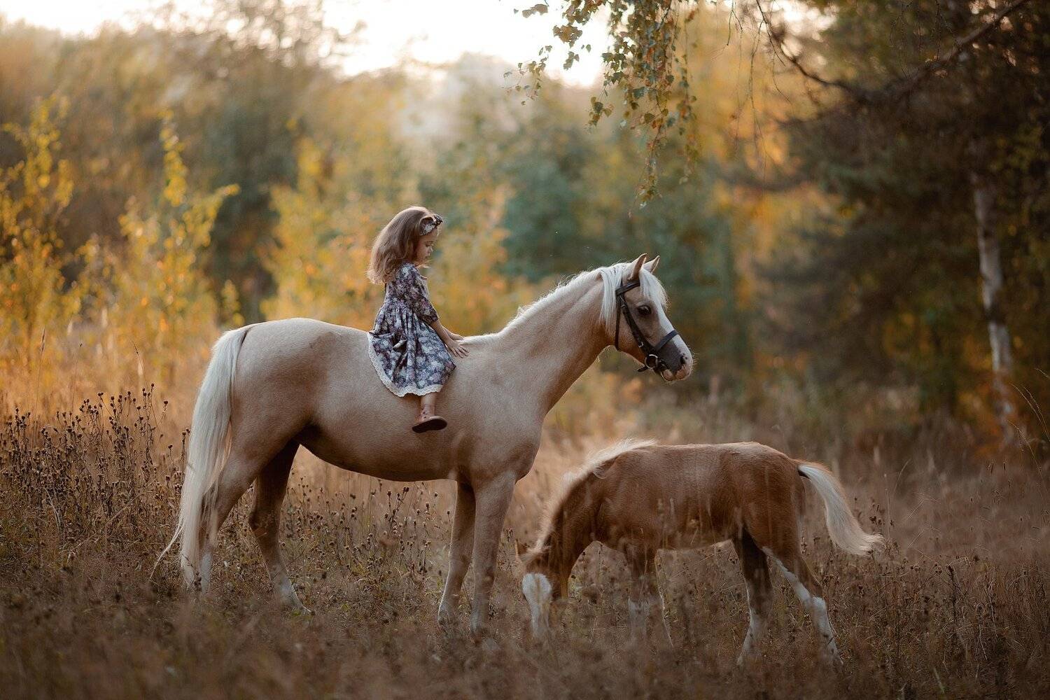 , Юлия Соболева