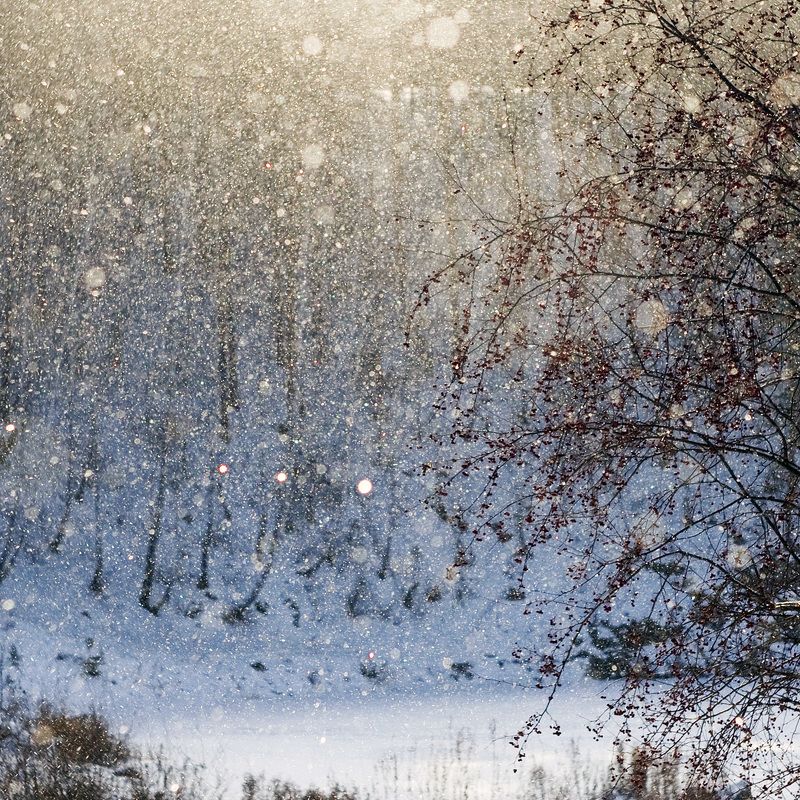 серебрянный \