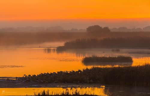 Осенний рассвет над дельтой