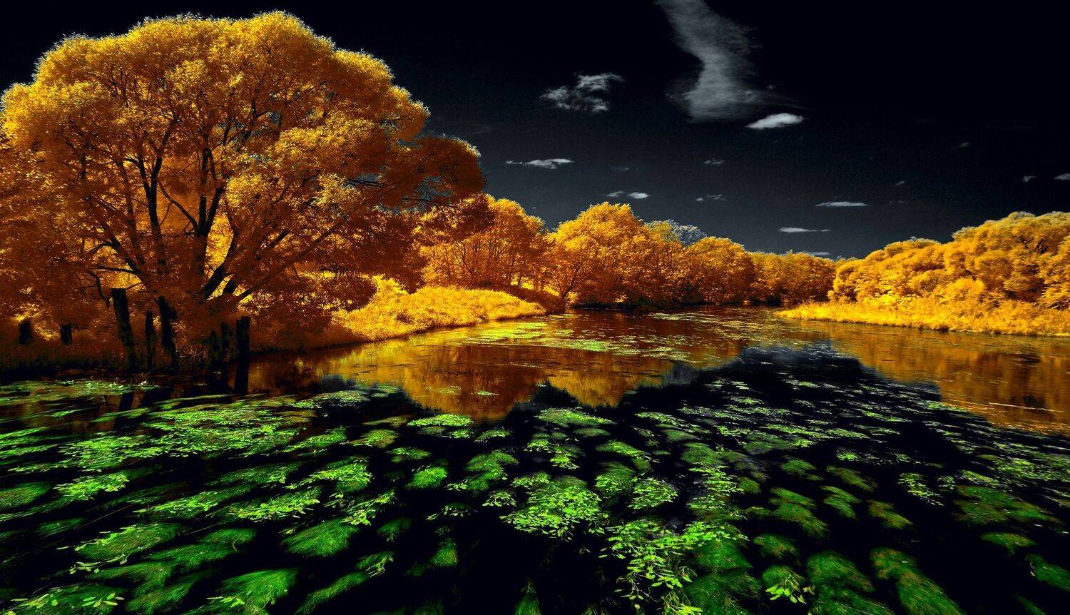 infrared,ик-фото,инфракрасное фото,инфракрасная фотография,пейзаж,природа,беларусь,лето, Sixten ( Сергей )