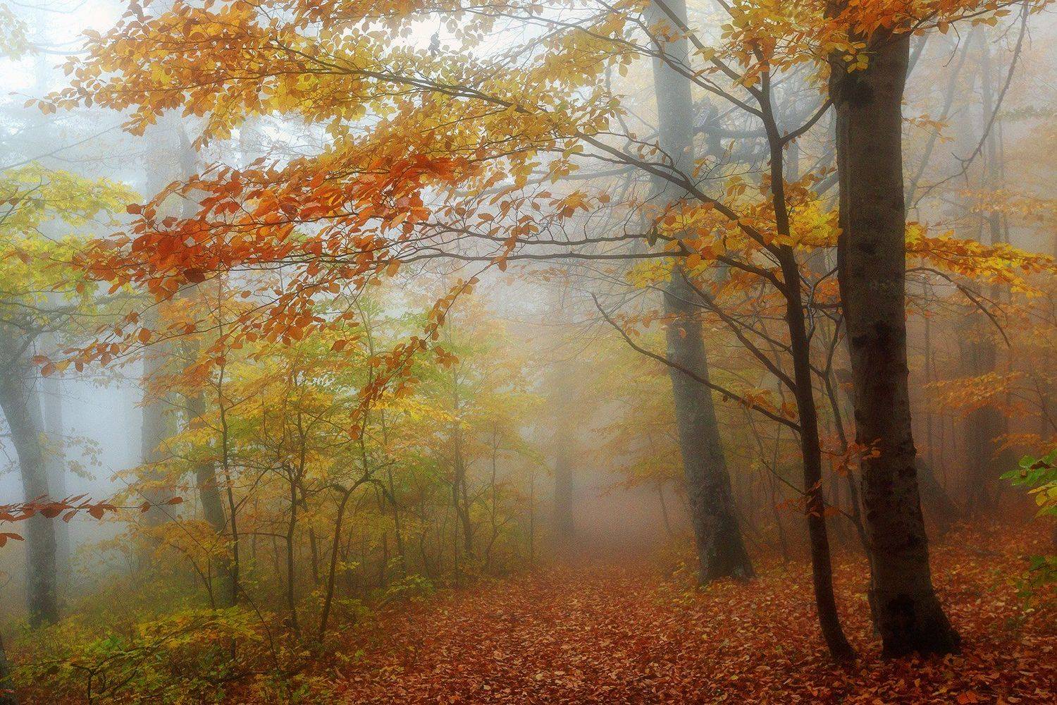 , Александр Костенко