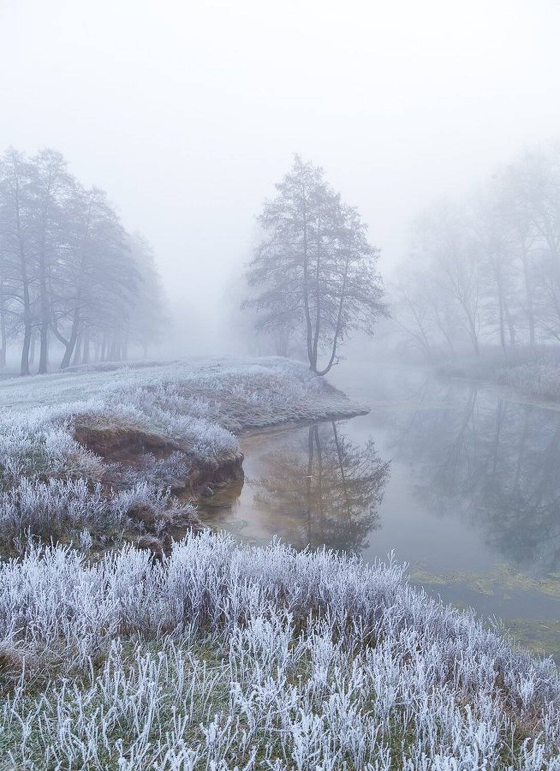 , Александр Подрез