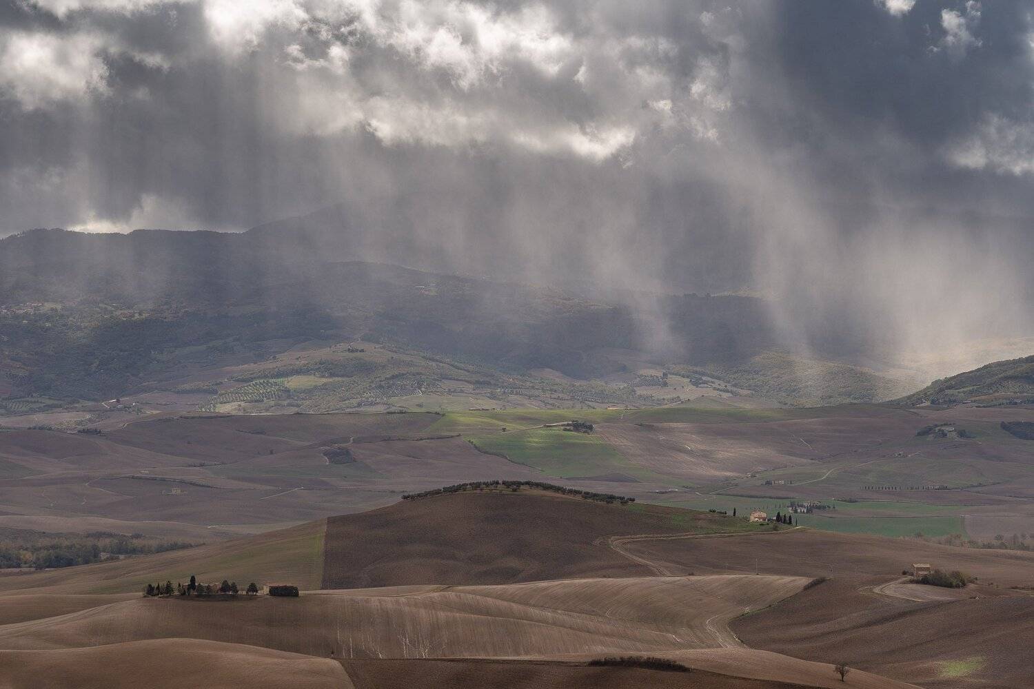 тоскана, Исаков Дмитрий