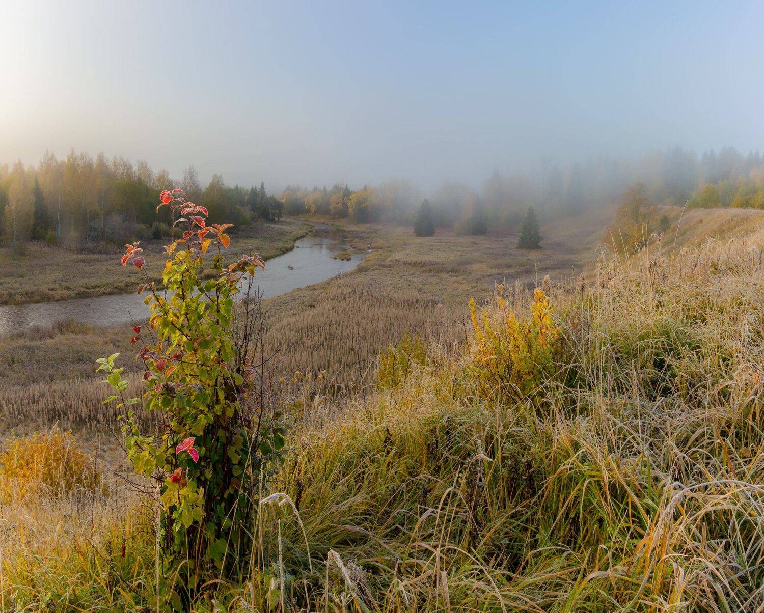 рассвет, туман, соень, Павел Ващенков